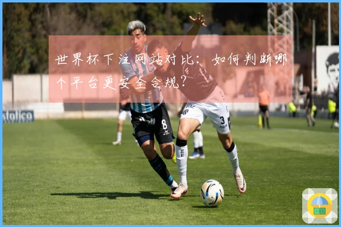 世界杯下注网站对比：如何判断哪个平台更安全合规？