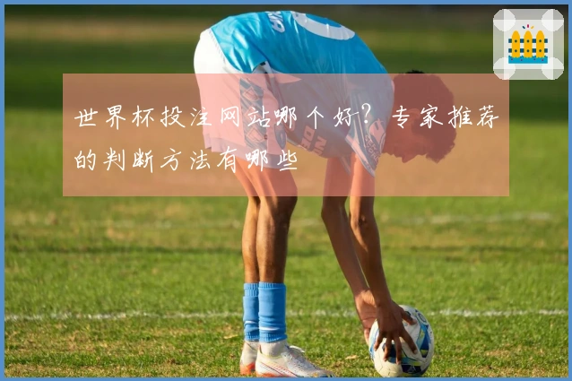 世界杯投注网站哪个好？专家推荐的判断方法有哪些