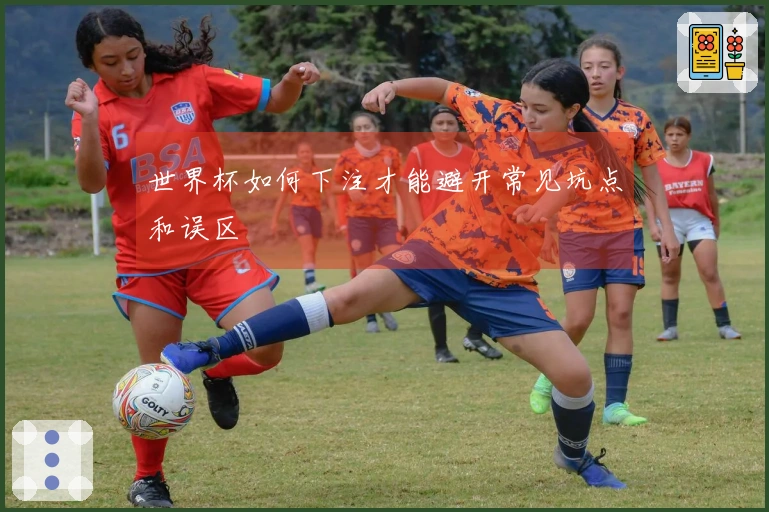 世界杯如何下注才能避开常见坑点和误区