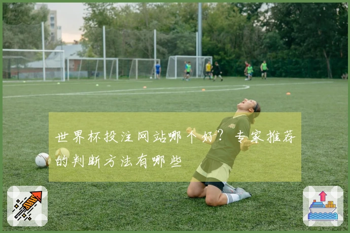 世界杯投注网站哪个好?专家推荐的判断方法有哪些