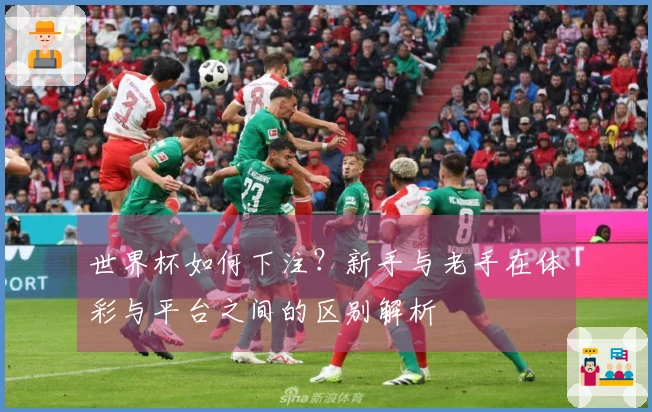 世界杯如何下注？新手与老手在体彩与平台之间的区别解析
